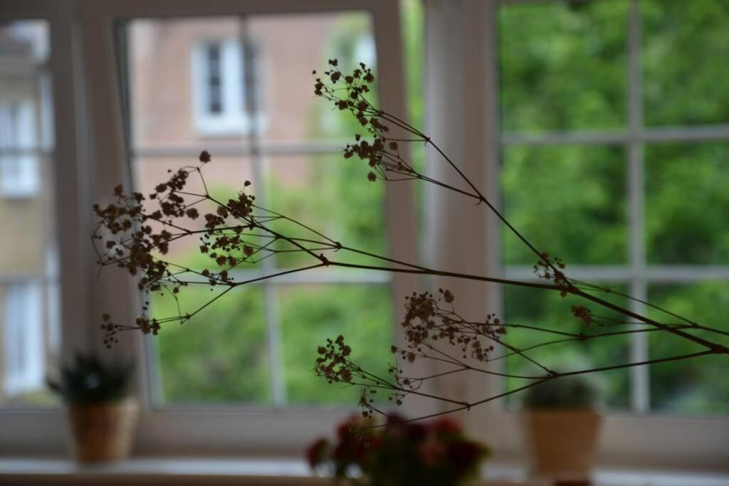 Ines Apartament Two Levels 105M2 In The Old Town Wi-Fi, Olsztyn  Esterno foto