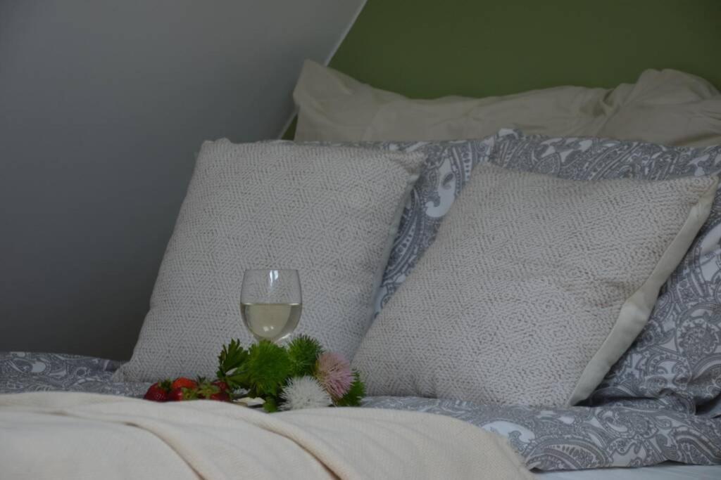 Ines Apartament Two Levels 105M2 In The Old Town Wi-Fi, Olsztyn  Esterno foto