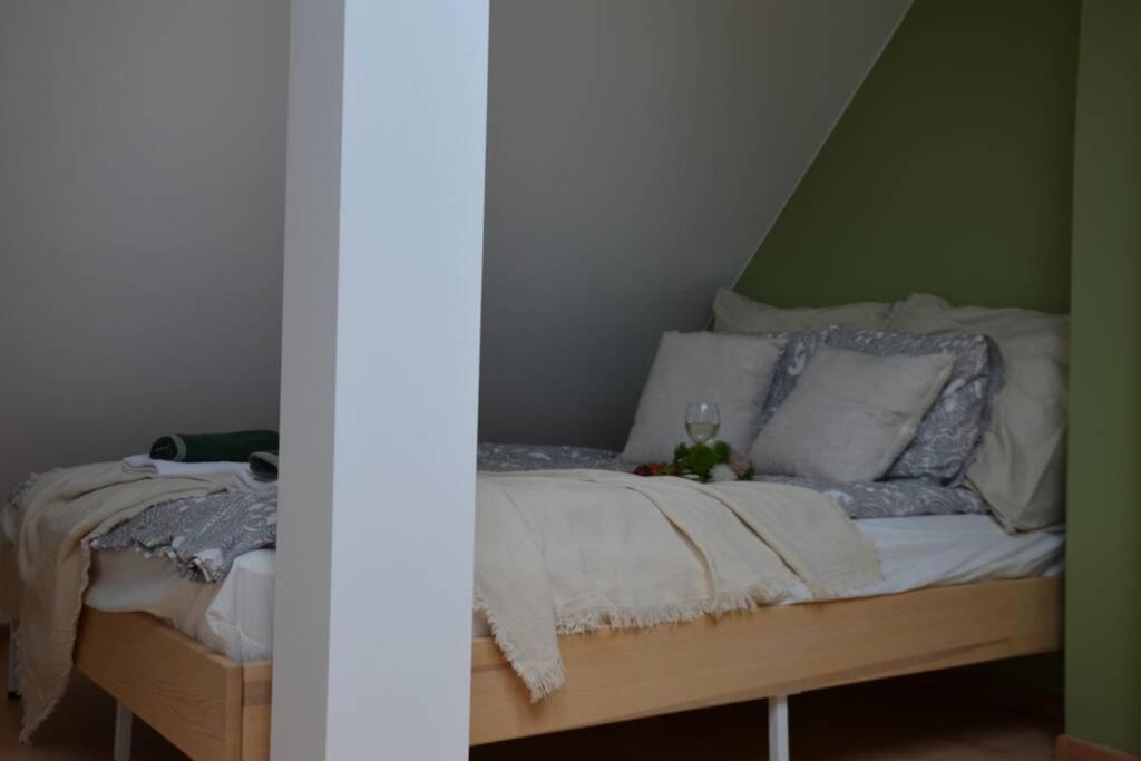 Ines Apartament Two Levels 105M2 In The Old Town Wi-Fi, Olsztyn  Esterno foto